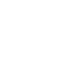 Icon-flag_w